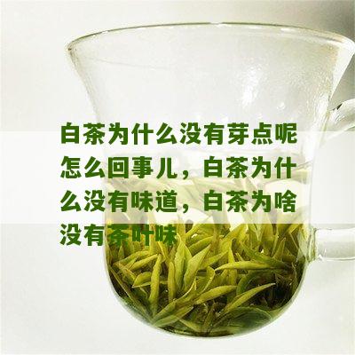 白茶为什么没有芽点呢怎么回事儿，白茶为什么没有味道，白茶为啥没有茶叶味