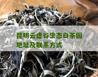 昆明云虚谷生态白茶园地址及联系方式