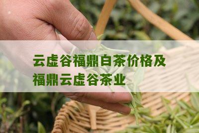 云虚谷福鼎白茶价格及福鼎云虚谷茶业