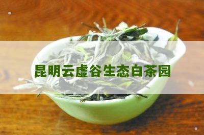 昆明云虚谷生态白茶园