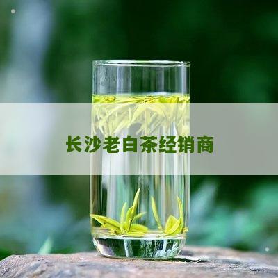 长沙老白茶经销商