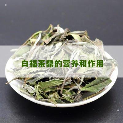 白福茶鼎的营养和作用