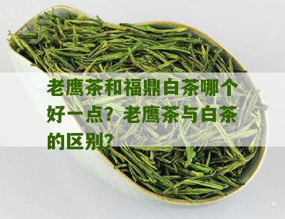 老鹰茶和福鼎白茶哪个好一点？老鹰茶与白茶的区别？