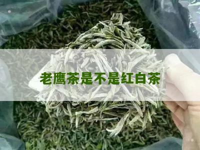 老鹰茶是不是红白茶