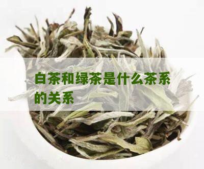 白茶和绿茶是什么茶系的关系