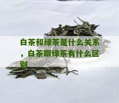 白茶和绿茶是什么关系，白茶跟绿茶有什么区别