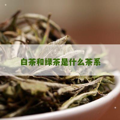 白茶和绿茶是什么茶系