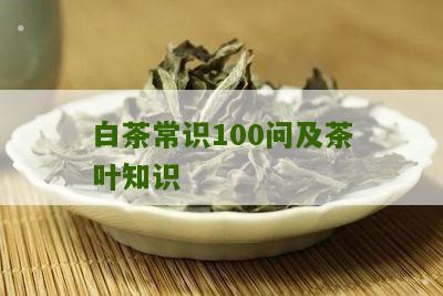 白茶常识100问及茶叶知识