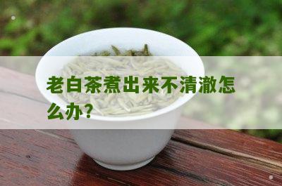 老白茶煮出来不清澈怎么办？