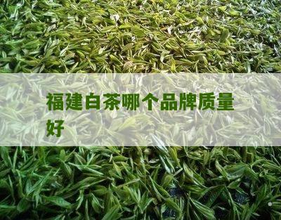 福建白茶哪个品牌质量好