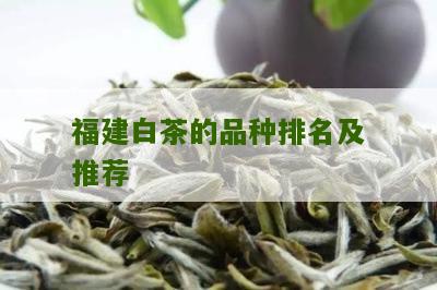 福建白茶的品种排名及推荐