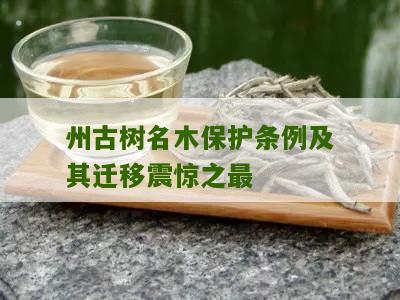 州古树名木保护条例及其迁移震惊之最