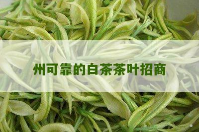 州可靠的白茶茶叶招商