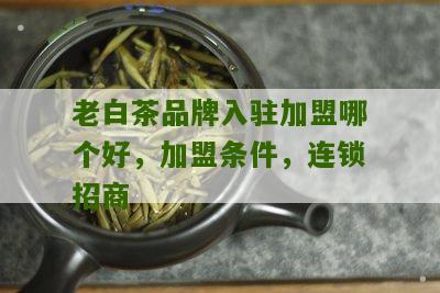 老白茶品牌入驻加盟哪个好，加盟条件，连锁招商