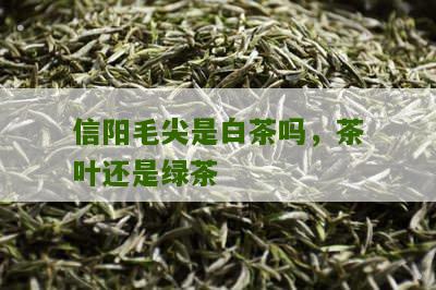 信阳毛尖是白茶吗，茶叶还是绿茶