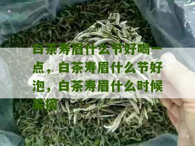 白茶寿眉什么节好喝一点，白茶寿眉什么节好泡，白茶寿眉什么时候采摘