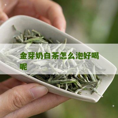 金芽奶白茶怎么泡好喝呢