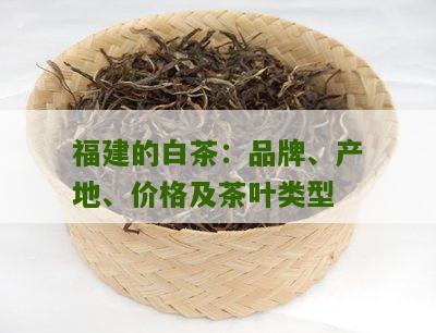 福建的白茶：品牌、产地、价格及茶叶类型