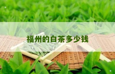 福州的白茶多少钱