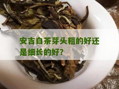 安吉白茶芽头粗的好还是细长的好？