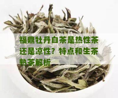 福鼎牡丹白茶是热性茶还是凉性？特点和生茶熟茶解析