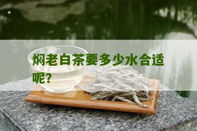 焖老白茶要多少水合适呢？