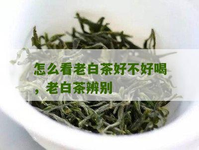 怎么看老白茶好不好喝，老白茶辨别