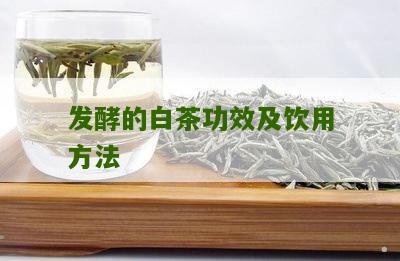 发酵的白茶功效及饮用方法