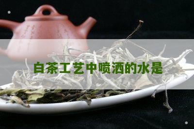 白茶工艺中喷洒的水是