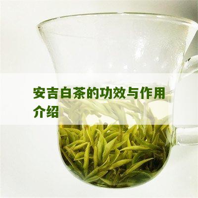 安吉白茶的功效与作用介绍