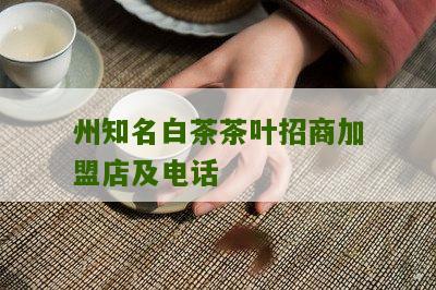 州知名白茶茶叶招商加盟店及电话