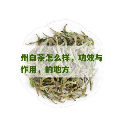 州白茶怎么样，功效与作用，的地方