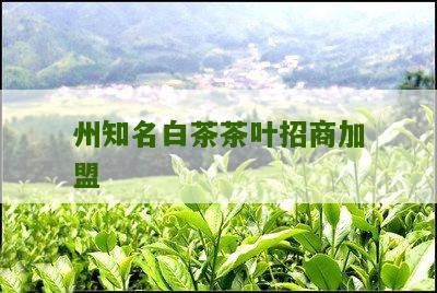 州知名白茶茶叶招商加盟