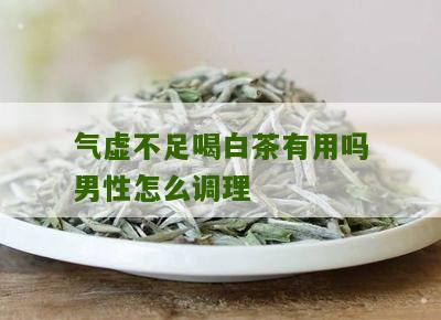 气虚不足喝白茶有用吗男性怎么调理