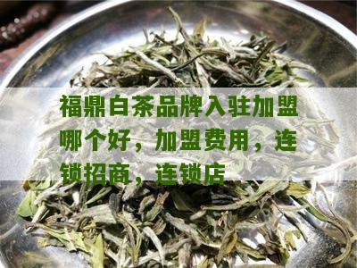 福鼎白茶品牌入驻加盟哪个好，加盟费用，连锁招商，连锁店