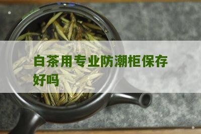 白茶用专业防潮柜保存好吗