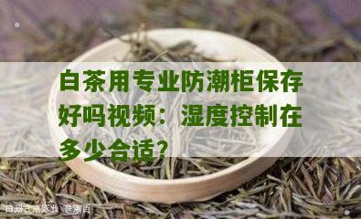 白茶用专业防潮柜保存好吗视频：湿度控制在多少合适？