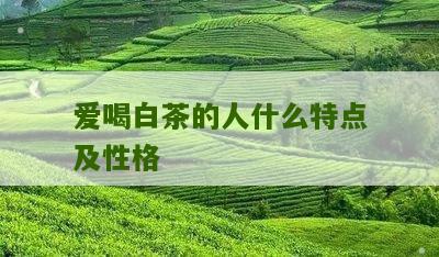 爱喝白茶的人什么特点及性格