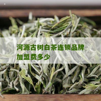 河源古树白茶连锁品牌加盟费多少