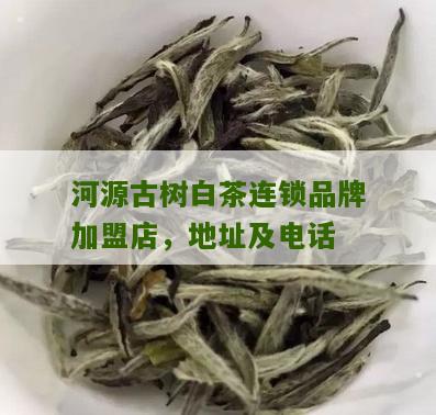 河源古树白茶连锁品牌加盟店，地址及电话