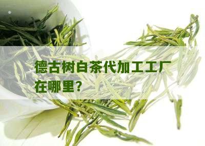 德古树白茶代加工工厂在哪里？