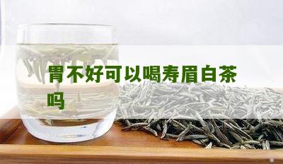 胃不好可以喝寿眉白茶吗