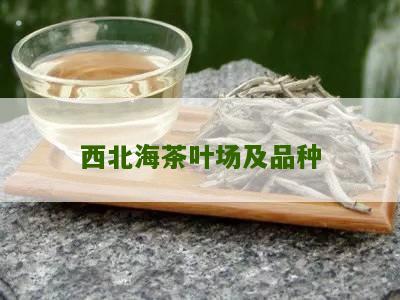 西北海茶叶场及品种