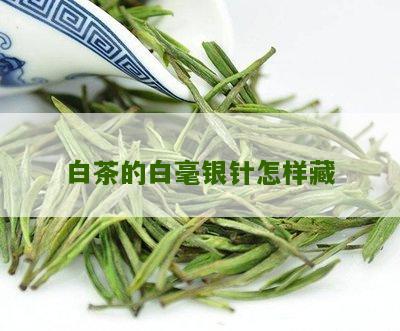 白茶的白毫银针怎样藏