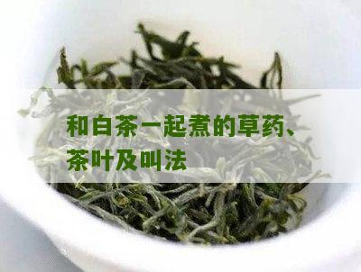 和白茶一起煮的草药、茶叶及叫法