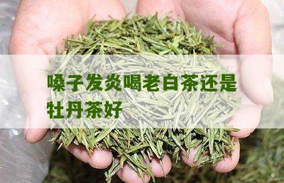 嗓子发炎喝老白茶还是牡丹茶好