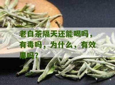 老白茶隔天还能喝吗，有毒吗，为什么，有效果吗？