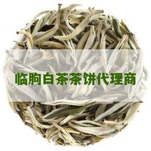 临朐白茶茶饼代理商