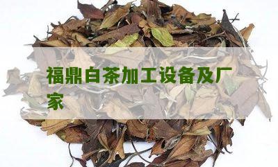 福鼎白茶加工设备及厂家