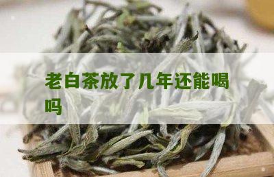 老白茶放了几年还能喝吗